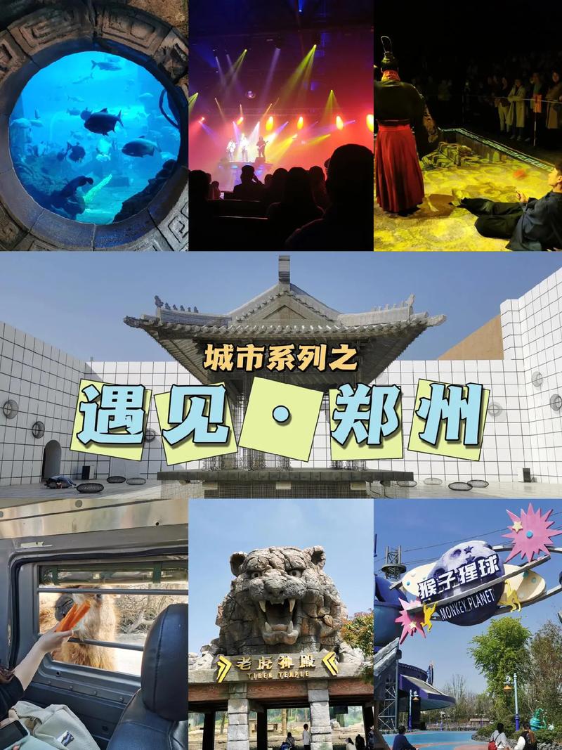 幻城代刷网抖音刷,抖音代刷的问题