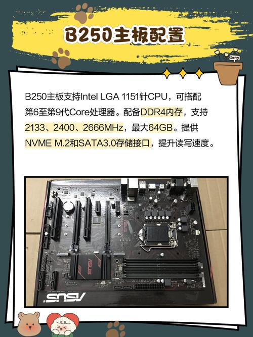 b250配几代cpu
