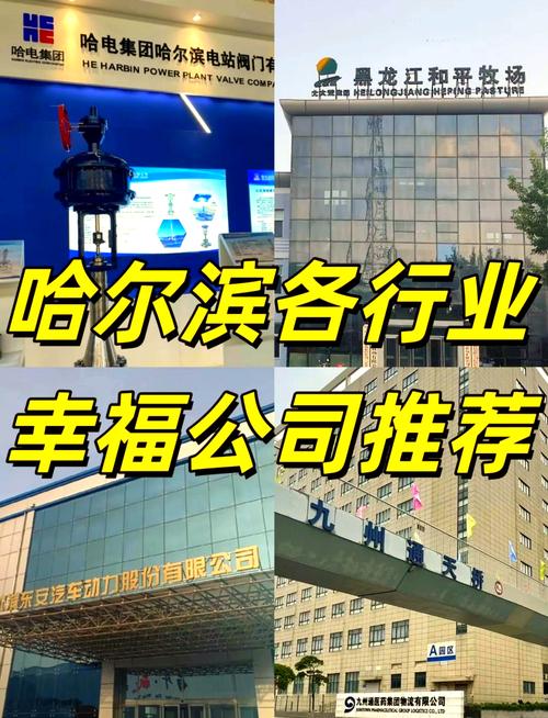 哈尔滨企业网站建设公司