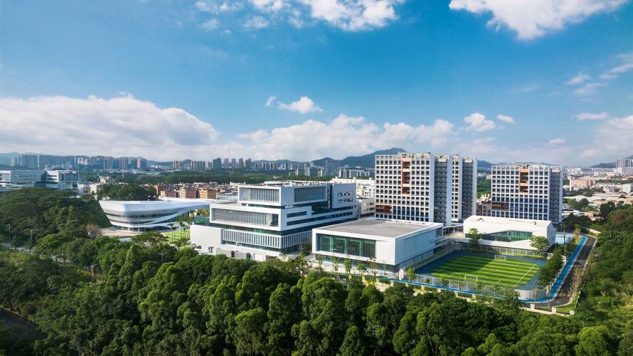 东莞市正天网络科技