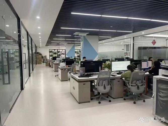 深圳坪山有什么网络公司