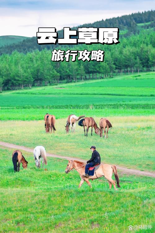 自驾游自由行网站建设