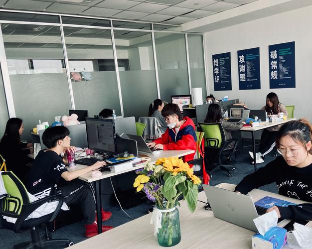 苏州互联网络公司