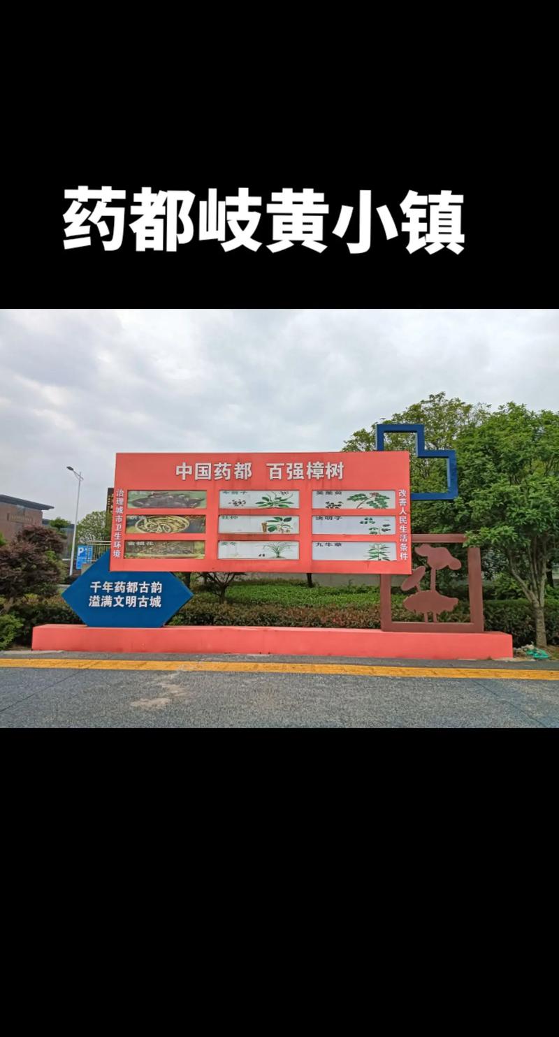 樟树市网站建设公司