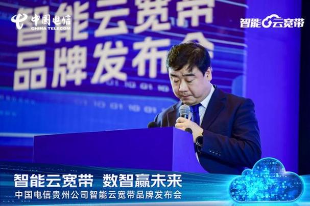 贵阳云服务网络公司