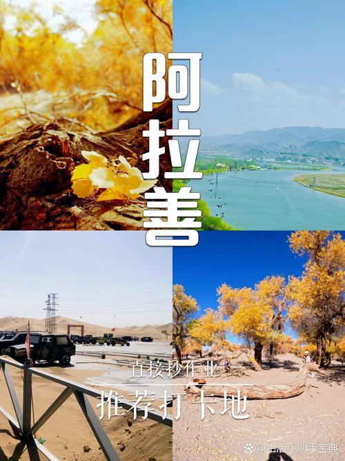 阿拉善盟网络营销