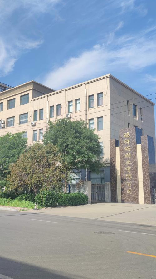 安平县外贸网站建设