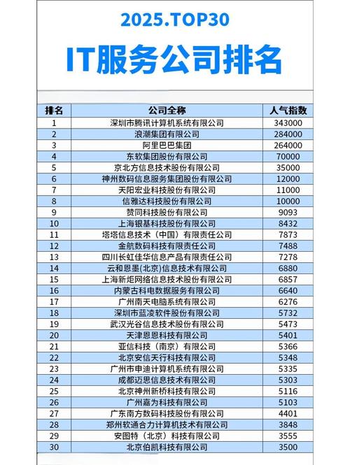 长沙服务网络公司排名