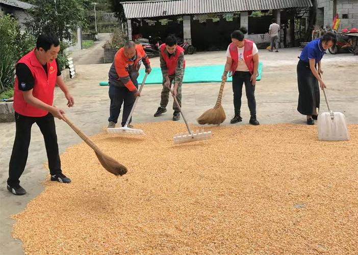 比较大的宽带网络公司