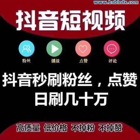 抖音刷浏览量赚钱，抖音业务低价粉丝怎么办