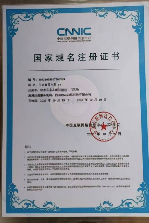 网络域名优先选择权