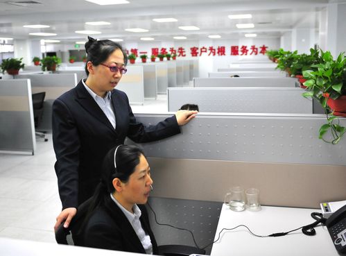 拓一网络 客服电话