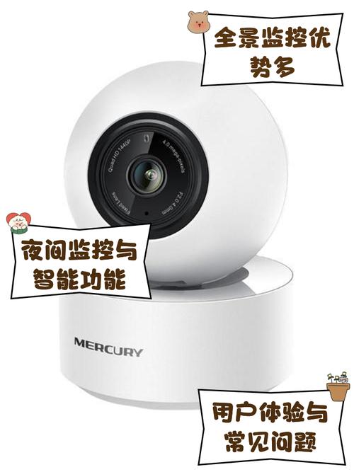 网络摄像机的域名指什么