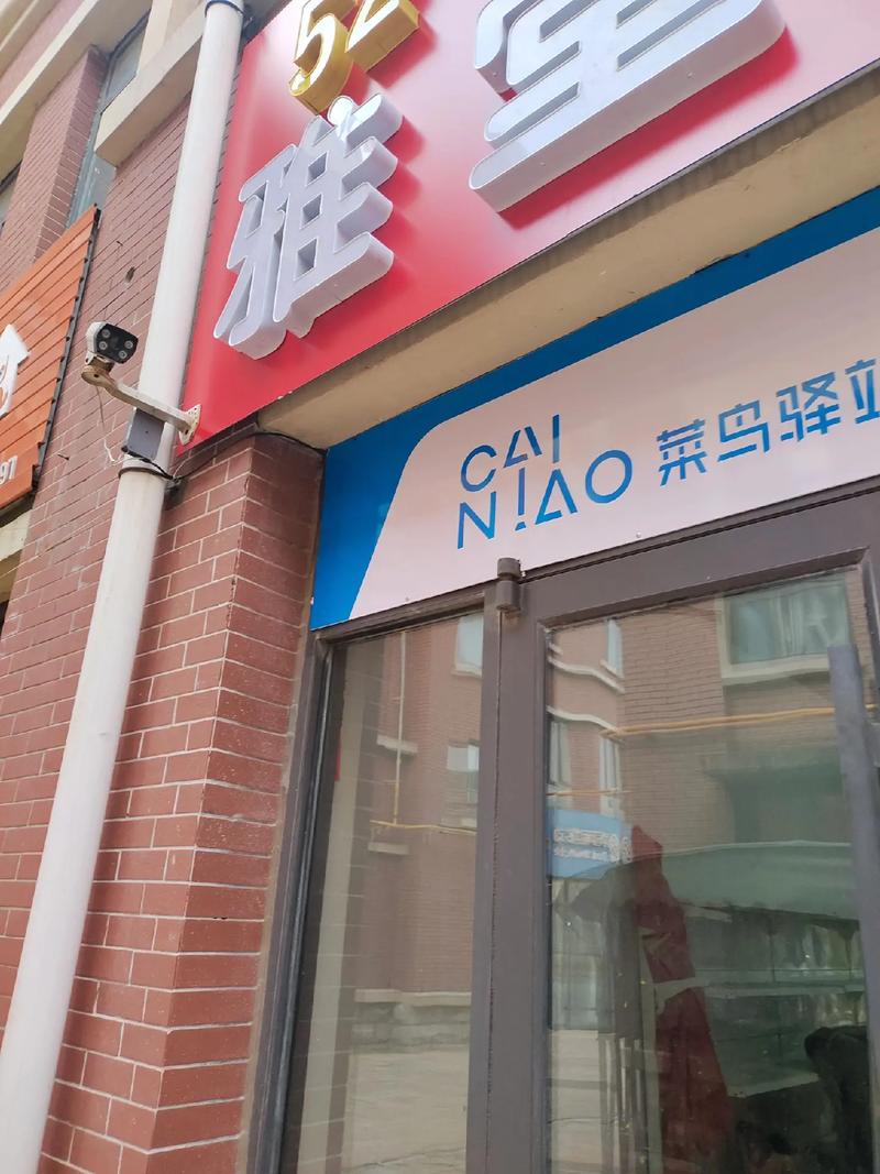 聊城菜鸟网站建设公司