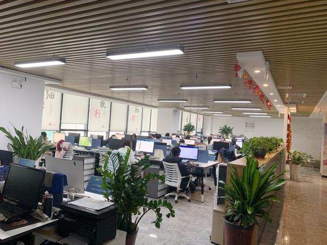 阿里优网络公司是做什么