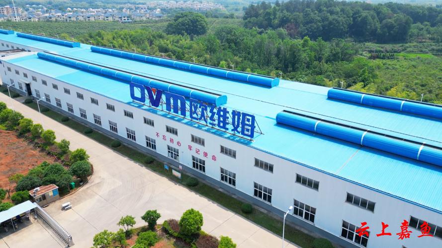 嘉鱼网站建设哪家好