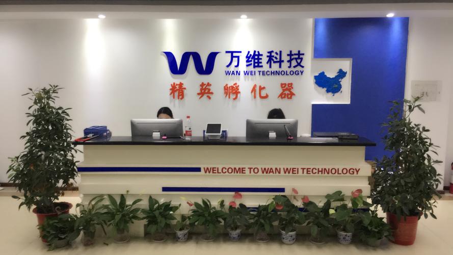 武汉网络公司排名双军