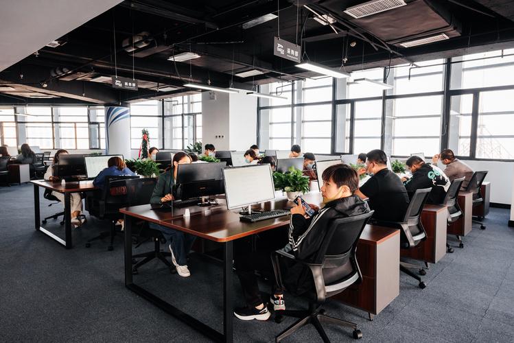 石家庄信息流网络公司