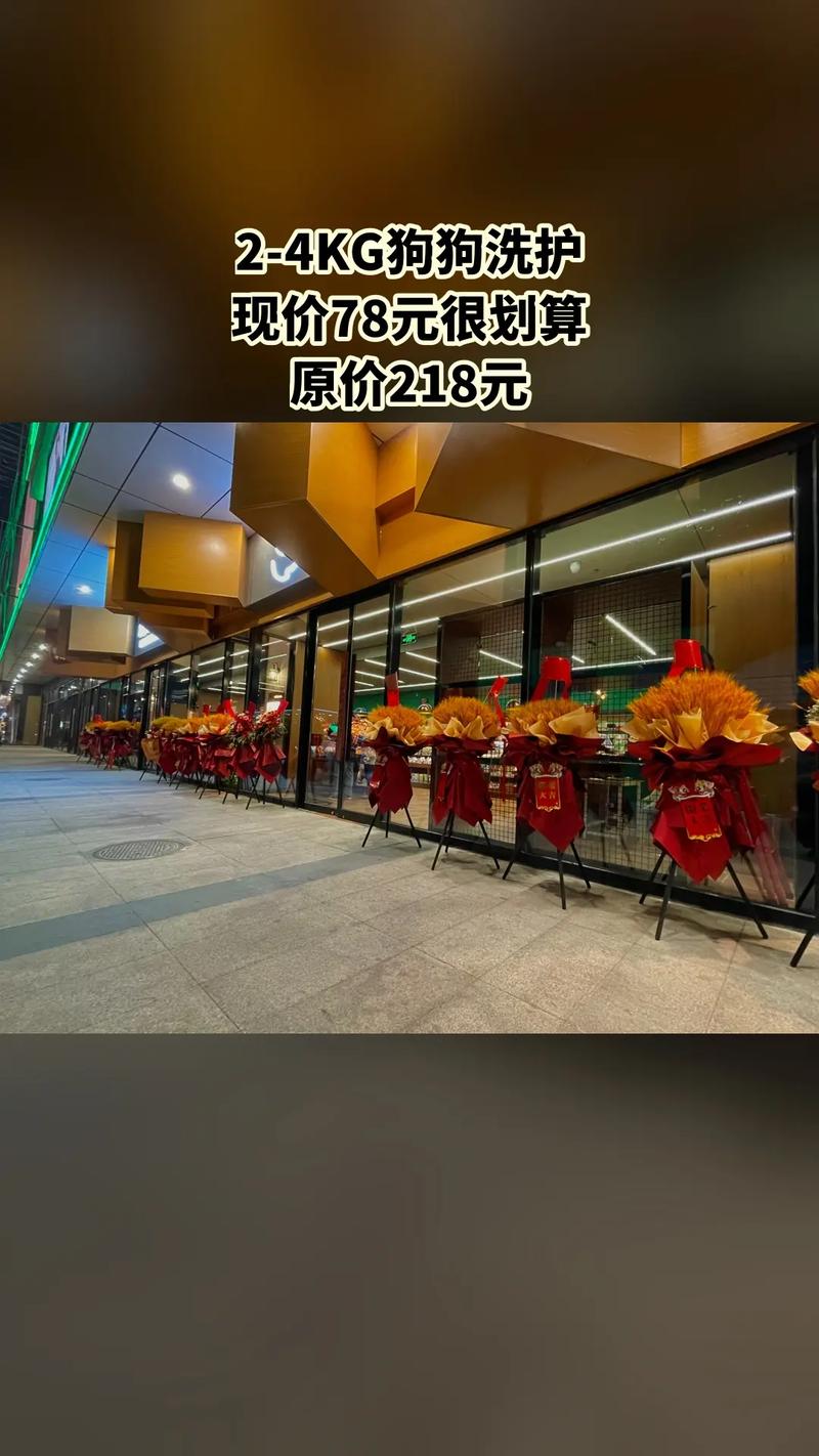 抖音秒刷播放子潇网站，dy业务低价自助下单平台小兽