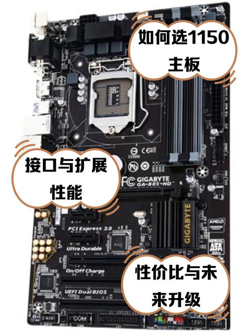 amd cpu插座详解