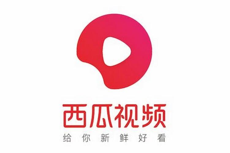 西瓜视频播放量自助平台,抖音业务代刷网