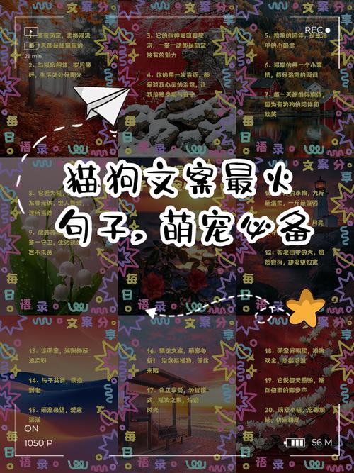 关于猫狗的网络流行语