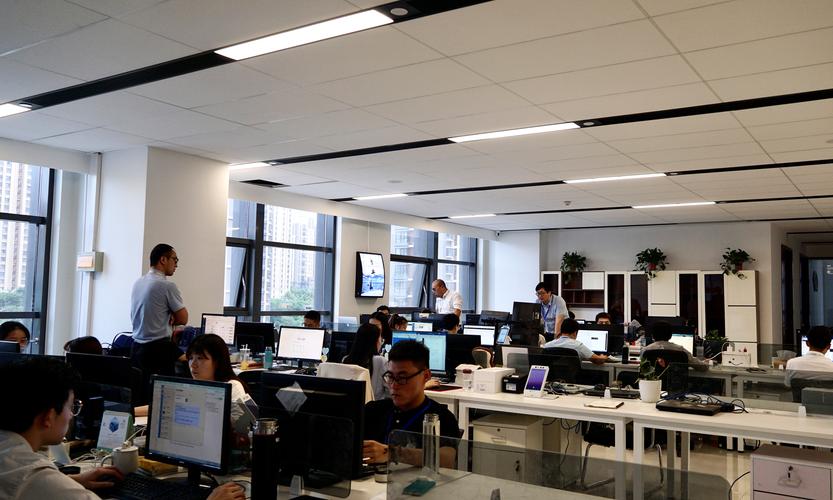 成都好软件网络科技公司