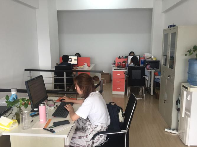 网站建设的公司做销售