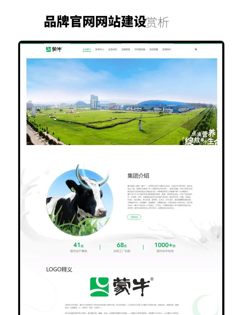 大名品牌网站建设