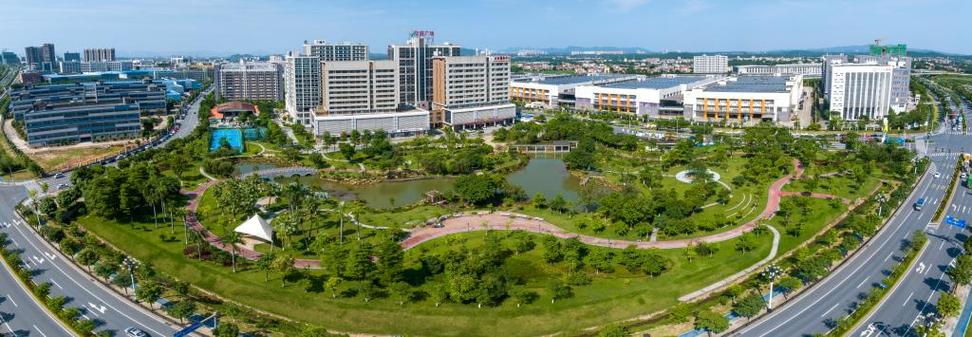 广清网络技术有限公司