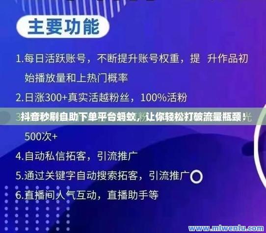 小红书自助平台业务入口是什么，dy免费刷粉网站推广马上刷