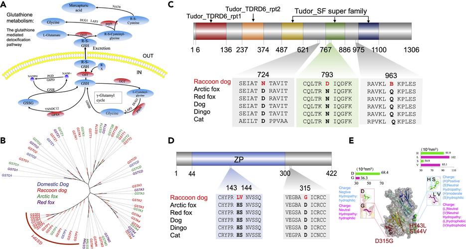 217.7，从底层到应用的性能进化