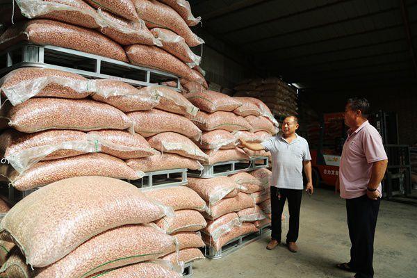 孟州网站Builder推荐，助力孟州轻松绽放