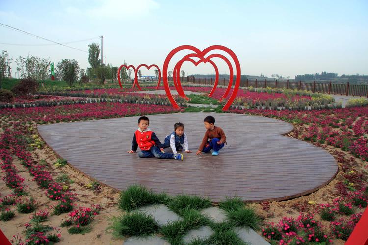 孟州网站Builder推荐,助力孟州轻松绽放