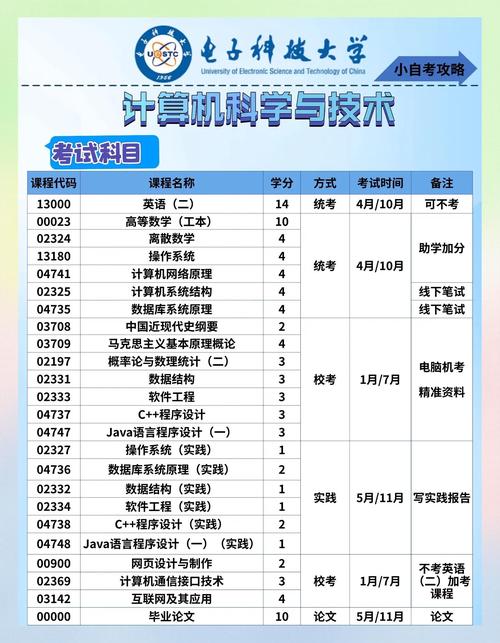 为什么学生会选择在特定学校学习技术技能？