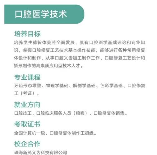 湖北网站建设费用指南,从免费到专业级方案的全面解析