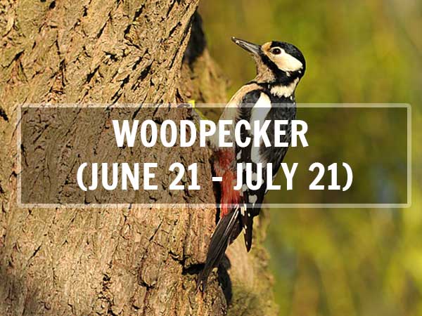 北京营销指南，从分析到行动，Everything You Need to Know