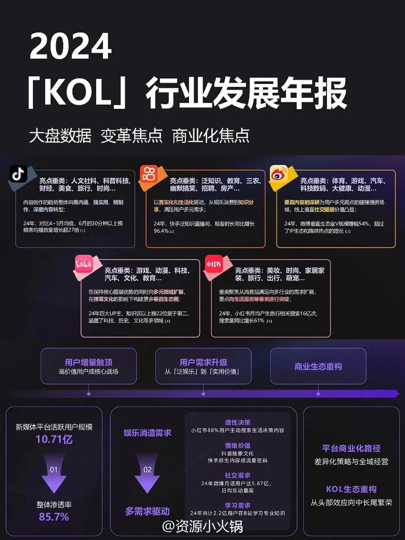 抖音浏览量后果，KOL、WTC与Dy品牌如何影响用户行为？