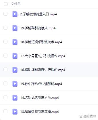 数字化时代短视频平台优化之策略指南