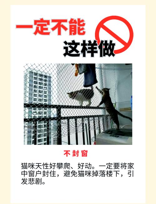 Catsite，让猫咪拥有更安全的居住环境