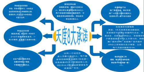 重庆天度网络，选择好了就放心了！