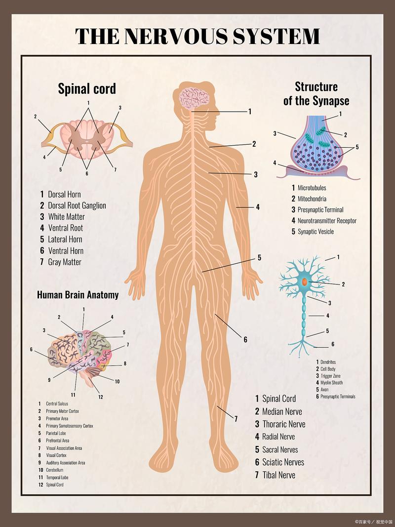 接TUI是什么意思？