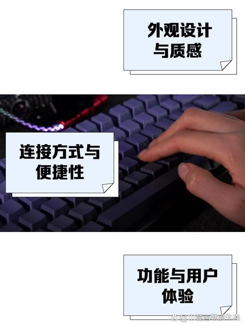 西安狼蜘蛛网络,高效安全的网络解决方案