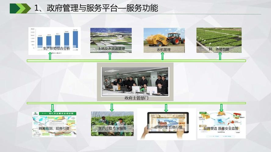 建设专业农业种植养殖网站,从需求分析到优化与维护