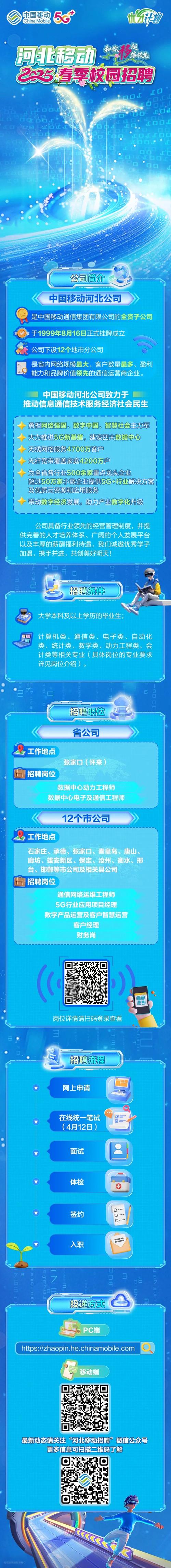 廊坊有几大网络公司？