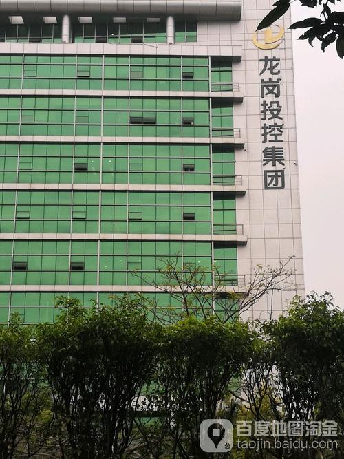 一文看懂地道龙岗网络公司