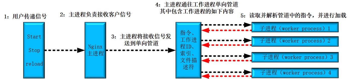 解读21,编码技术的辉煌与启示