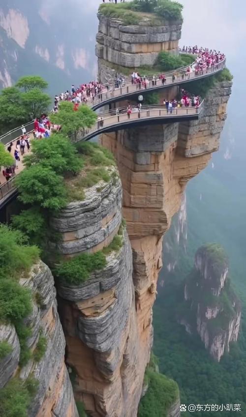 一、天梯的基本概念