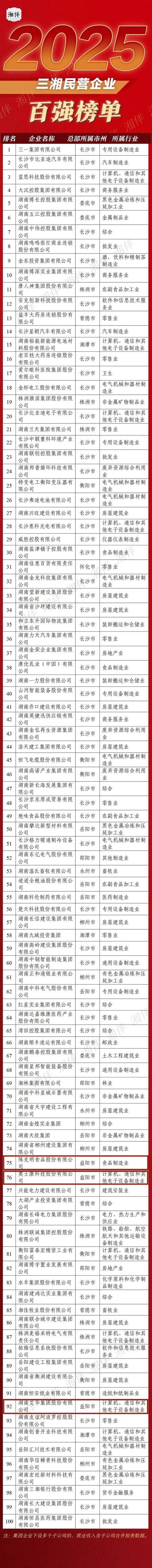 湖南网站开发行业，排名靠前的公司名单