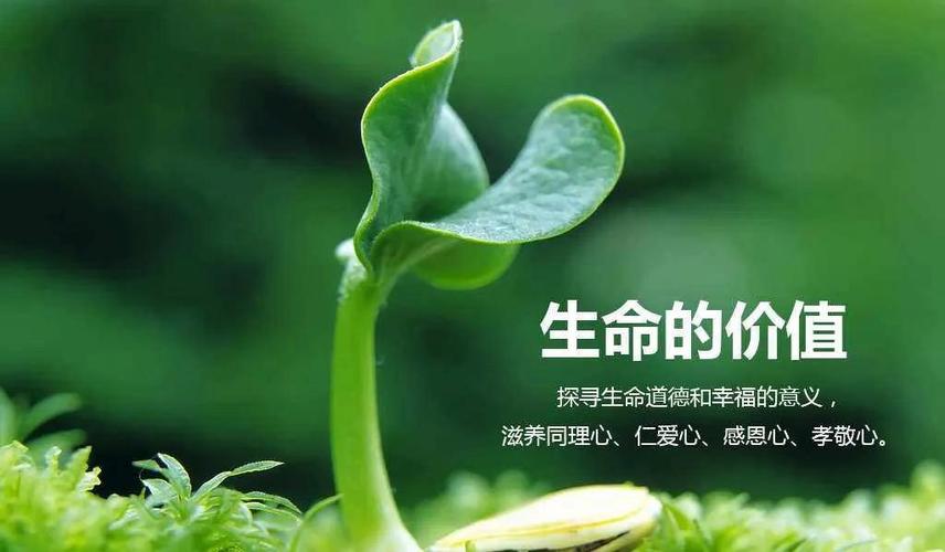 一、背景与意义